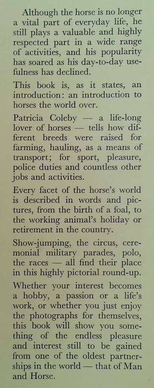 Introducing Horses Everywhere | Patricia Coleby