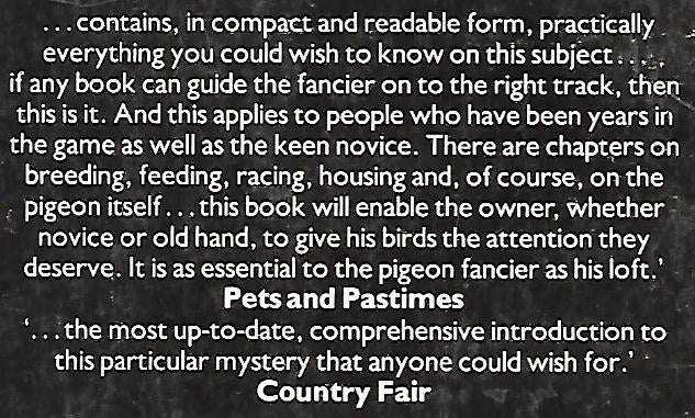 Racing Pigeons | Colin Osman