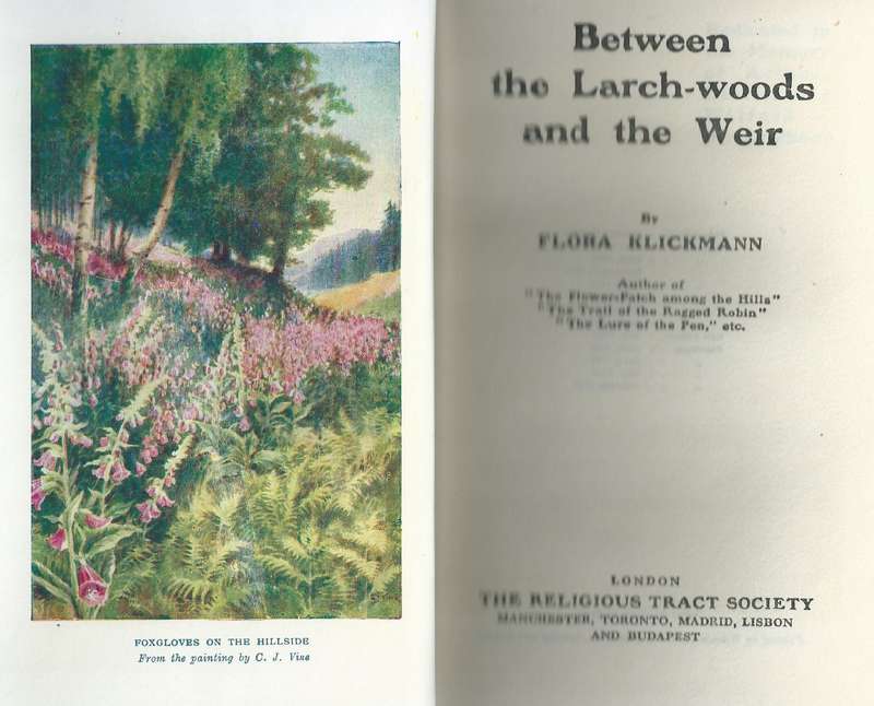 Between the Larch-Woods and the Weir | Flora Klickmann