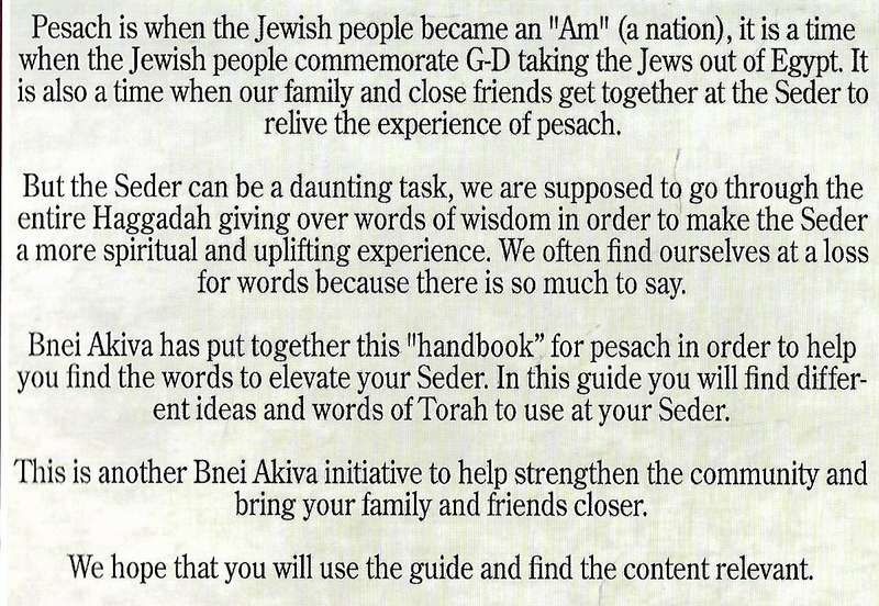 Your Handbook to the Pesach Seder | Bnei Akiva