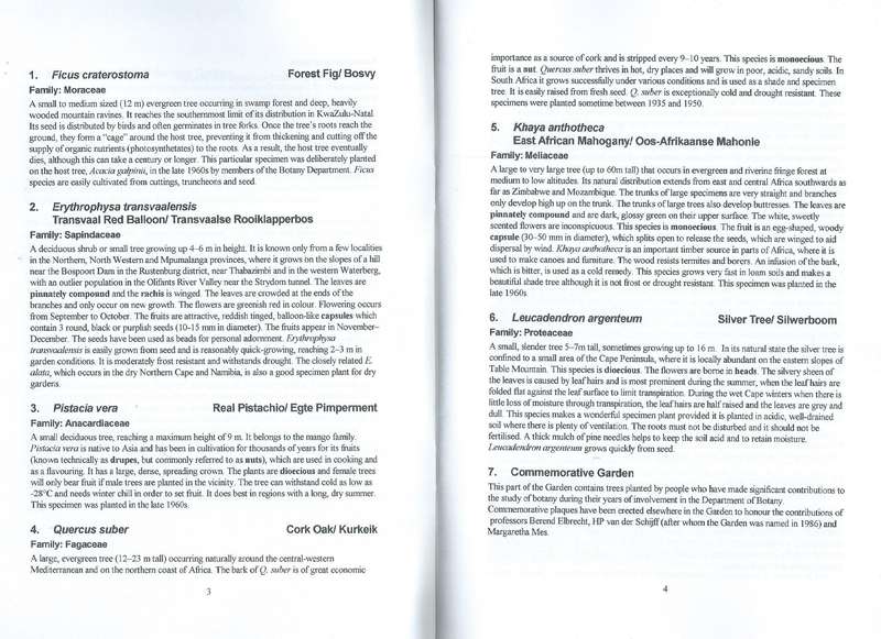 Manie van der Schiff Botanical Garden: Description of Species