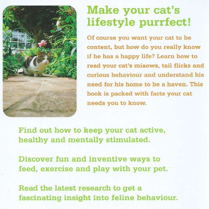 How to Have a Happy Cat | Andrea McHugh
