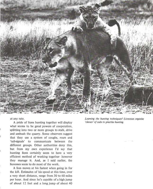 On Safari with Merton Paul in East Africa | Merton Paul