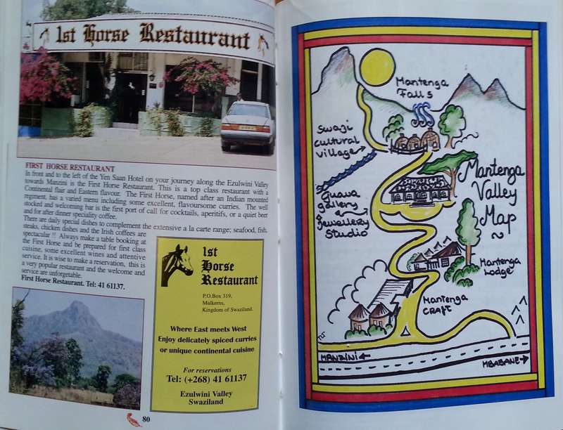 Lot of 4 Jumbo Tourist Guides to Swaziland | Hazel Hussey