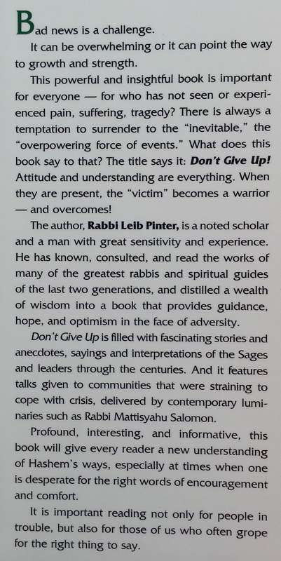 Don't Give Up: Rays of Light and Strength for the Hardest Times | Rabbi Leib Pinter