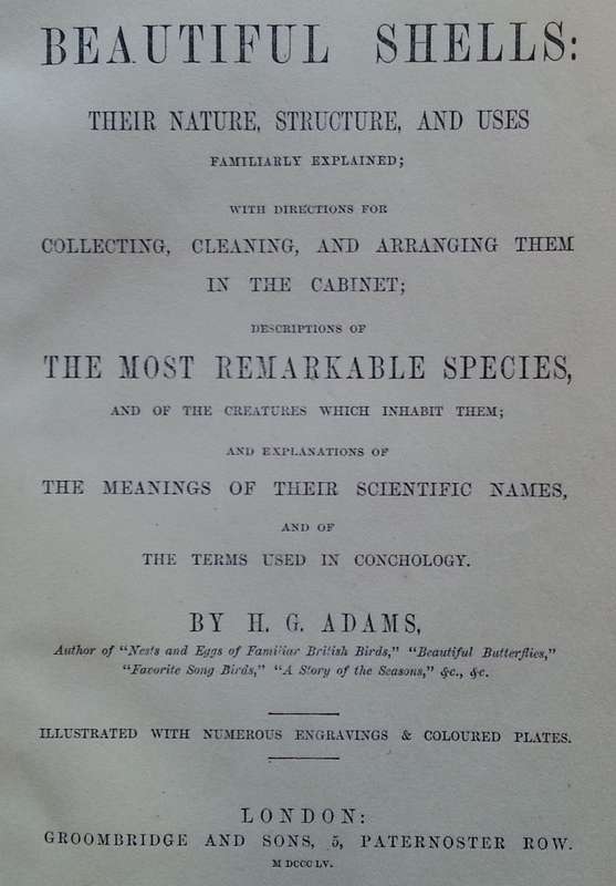 Beautiful Shells: Their Nature, Structure, and Uses (First Edition, 1855, with Hand-Coloured Plat...