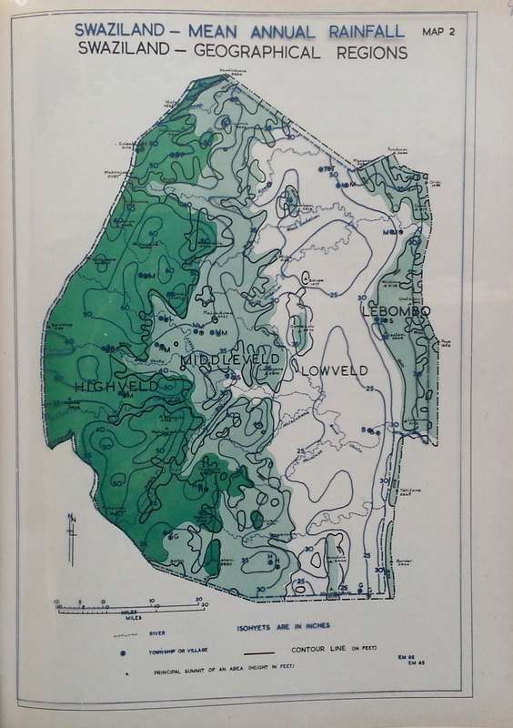 An Annotated Check List of the Flora of Swaziland | R. H. Compton