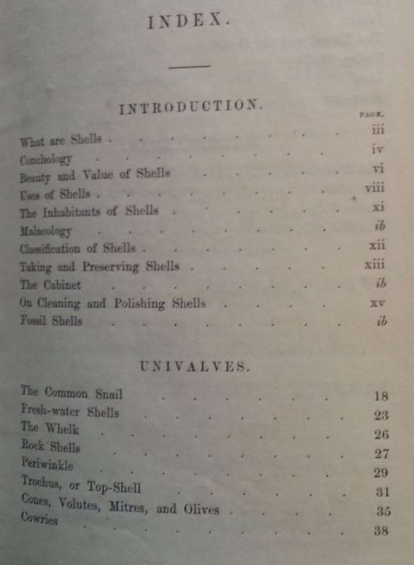 Beautiful Shells: Their Nature, Structure, and Uses (First Edition, 1855, with Hand-Coloured Plat...