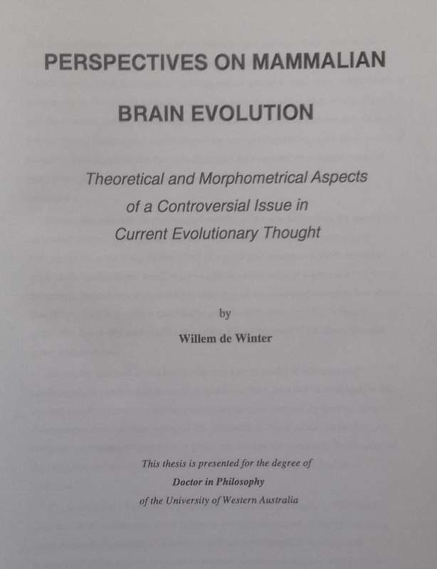 Perspectives on Mammalian Brain Evolution | Willem de Winter