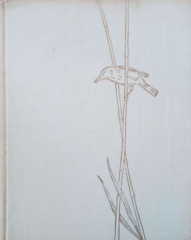 Birds of Field and Forest | E. Demartini