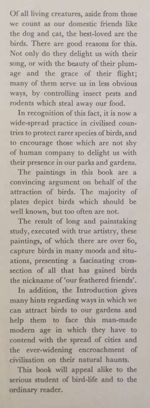 Birds of Field and Forest | E. Demartini