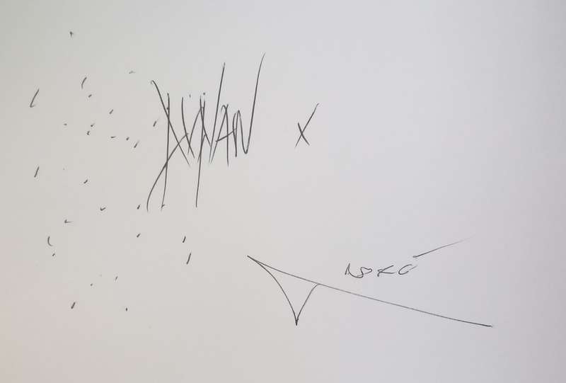 Eric Duplan & Andre Celemets: Urban Skins, Shared Surfaces (Possibly Signed by Artists)