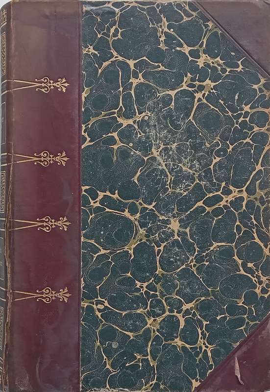 Martin Salander (German, Published 1904) | Gottfried Keller
