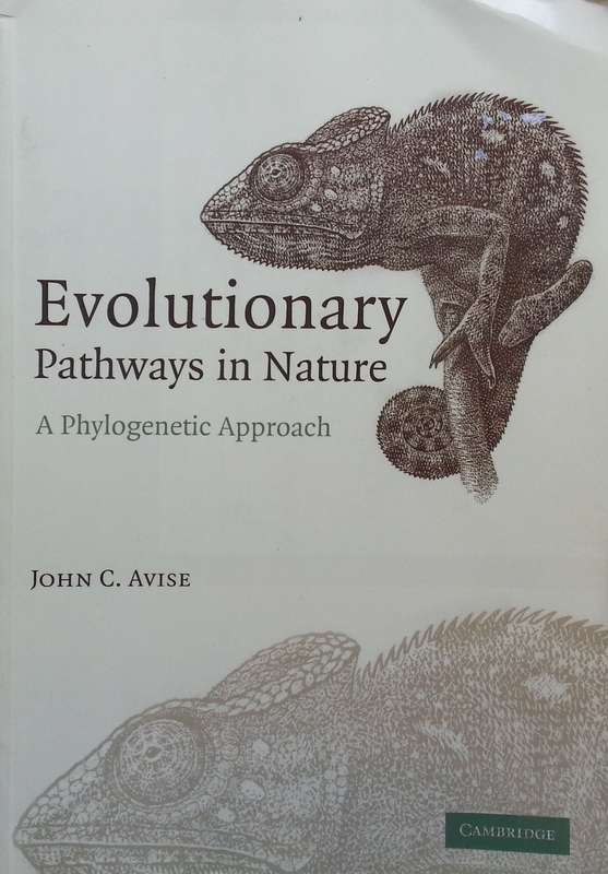 Evolutionary Pathways in Nature: A Phylogenetic Approach | John C. Avise