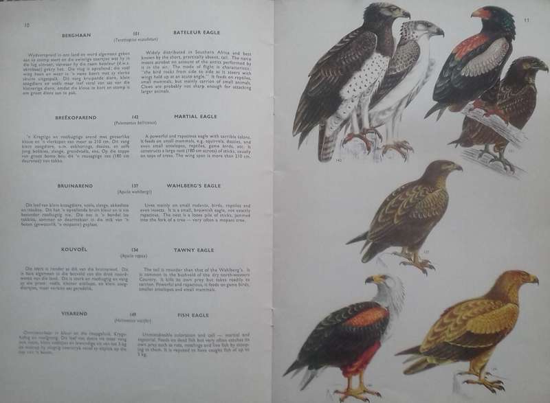 Birds of the Kruger and Other National Parks (4 Volumes)