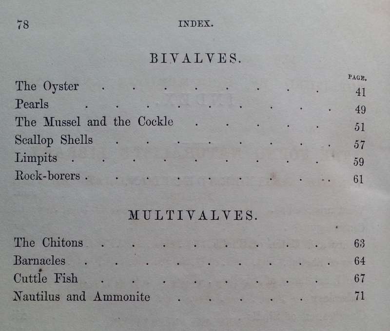 Beautiful Shells: Their Nature, Structure, and Uses (First Edition, 1855, with Hand-Coloured Plat...