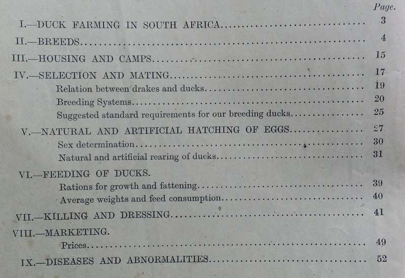 Duck Farming | P. J. Serfontein