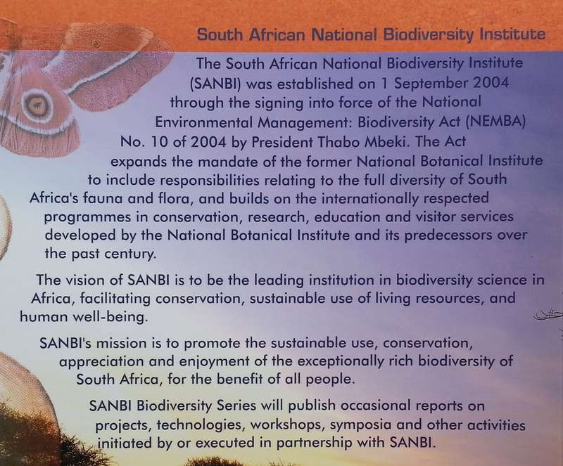 A South African Response to the Global Strategy for Plant Conservation | Christopher K. Willis (Ed.)