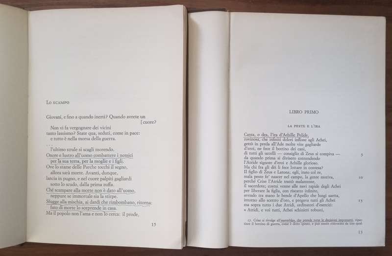 Lirici Greci & Iliade (Italian) | Homer, et al.