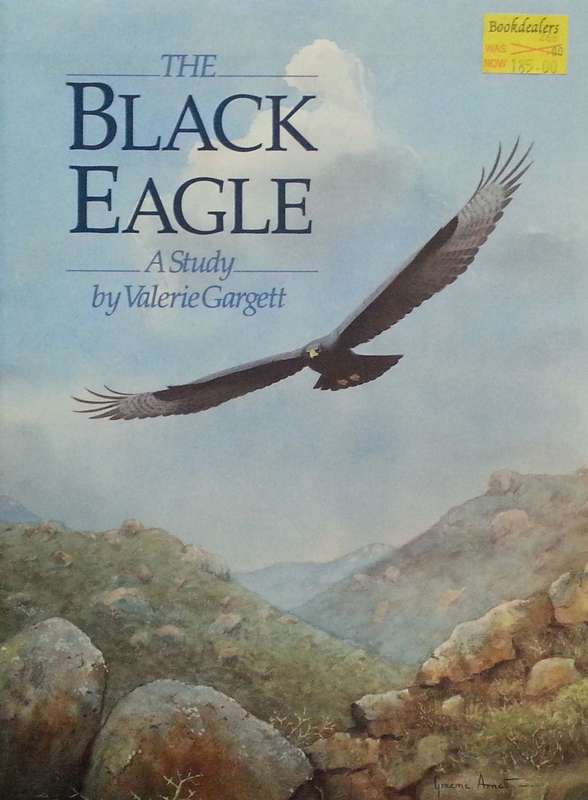 The Black Eagle: A Study | Valerie Gargett