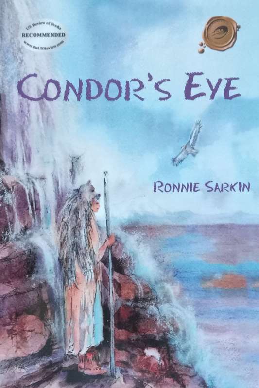 Condors Eye | Ronnie Sarkin