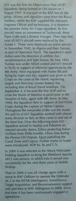 First in Field: 651 Squadron Army Air Corps | Guy Warner
