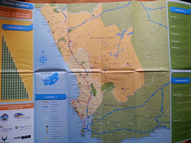 Collection of Four Items on Namaqualand