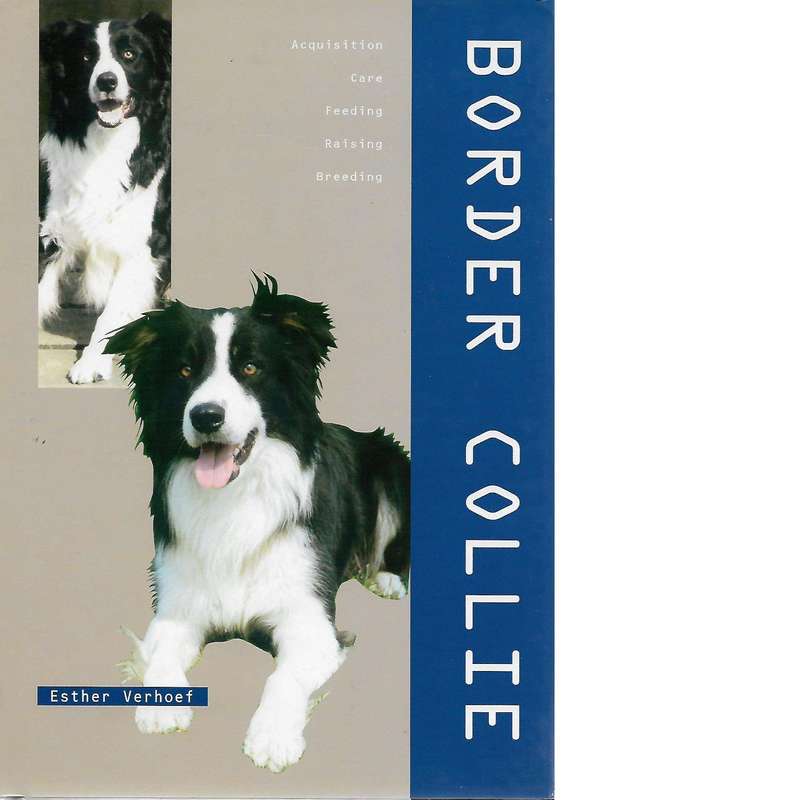 Border Collie | Esther Verhoef