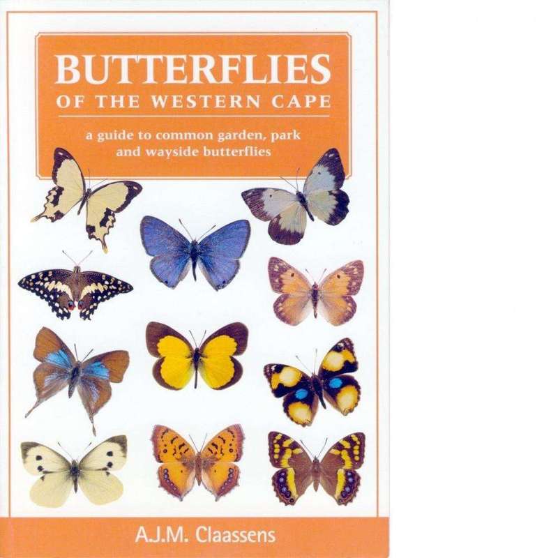 Butterflies of the Western Cape | A.J.M. Claasens