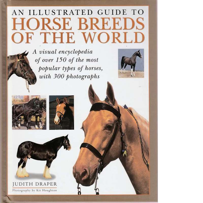 The Horse Box | Sarah Muir and Judith Draper and Debby Sly