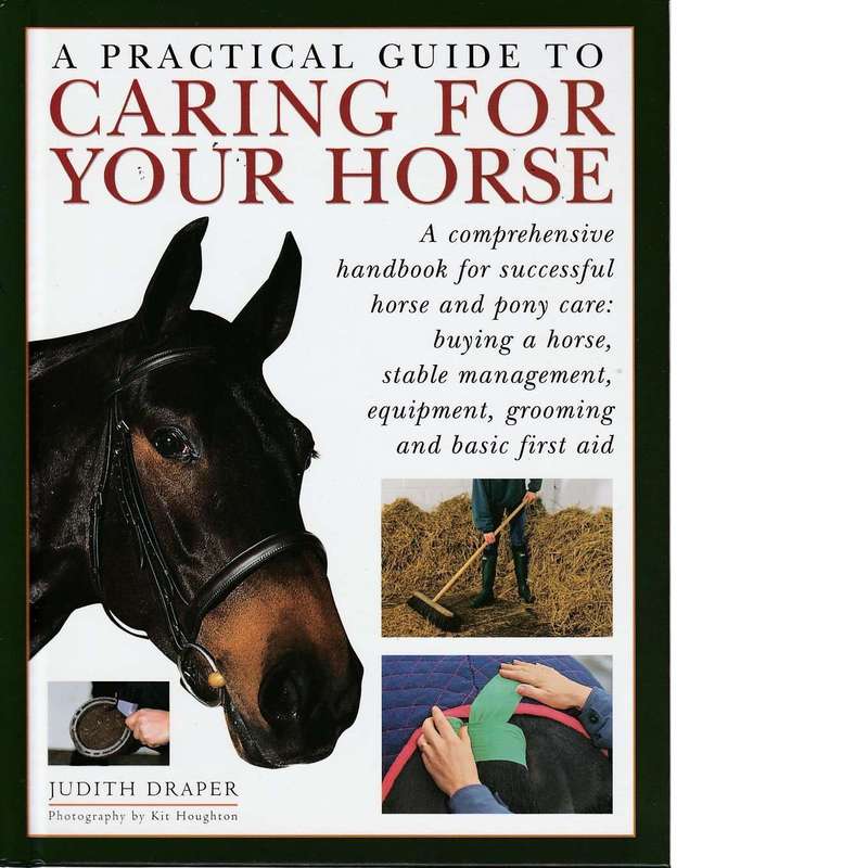 The Horse Box | Sarah Muir and Judith Draper and Debby Sly