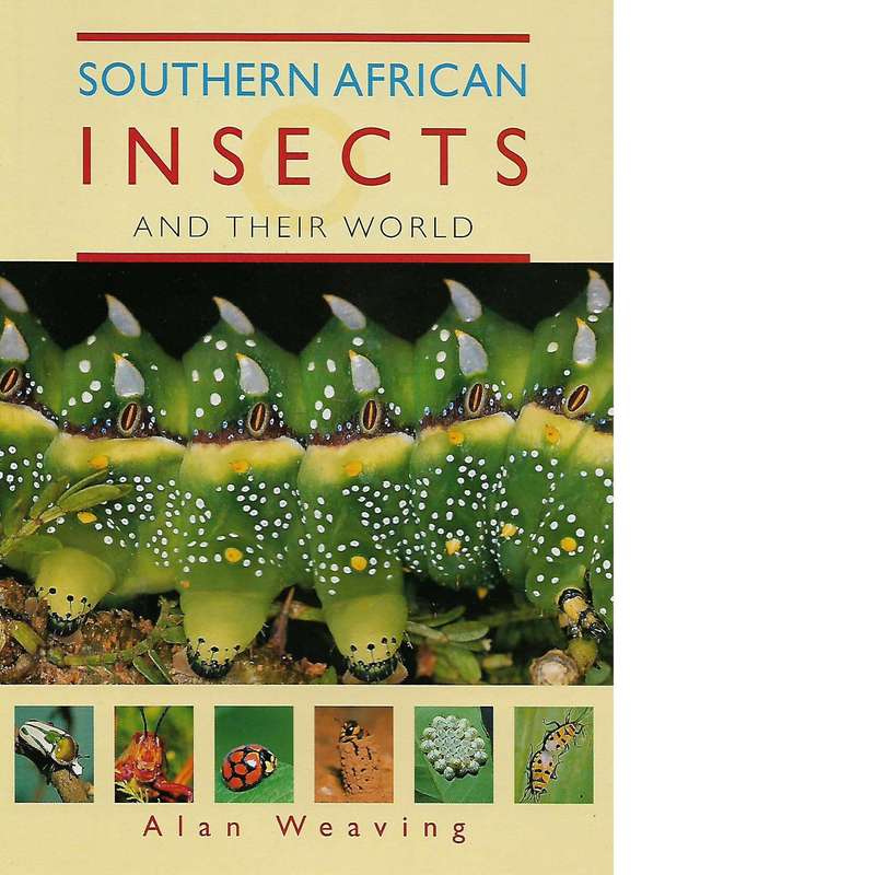 Southern African Insects and Their World | Alan Weaving