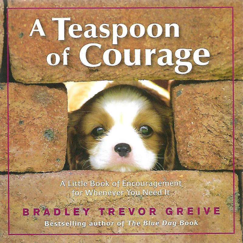 A Teaspoon of Courage: A Little Book of Encouragement for Whenever You Need It | Bradley Trevor G...