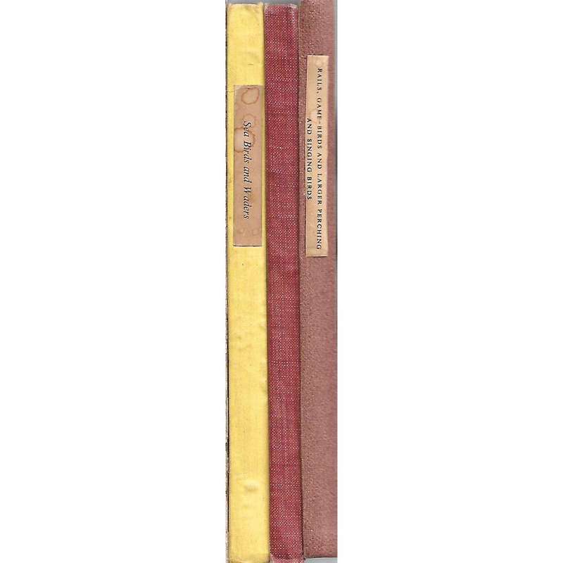 Bird Recognition (3 Volume Set) | James Fischer