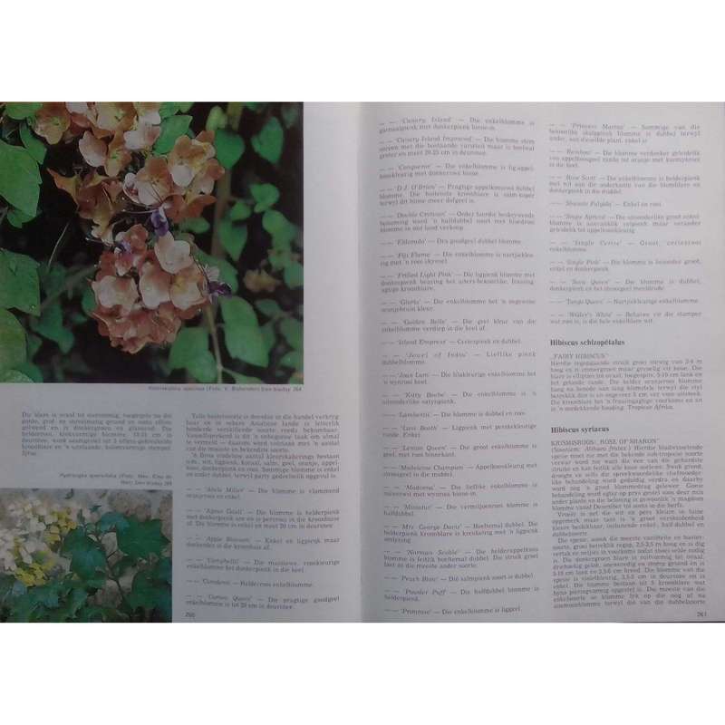 Bome, Struike en Rankplante (Signed by Author) | T. J. Kruger