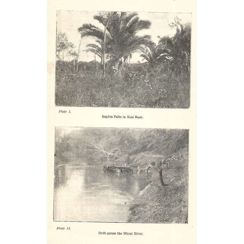 Botanical Survey of Natal and Zululand | R. D. Aitken & G. W. Gale