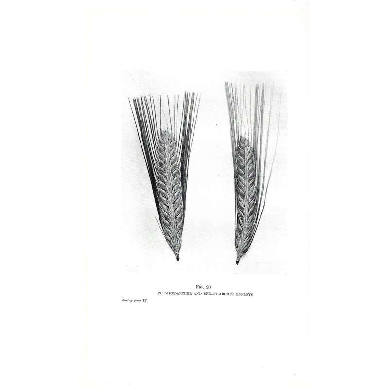 Brewing: Science and Practice (In 2 Volumes) | H. Lloyd Hind
