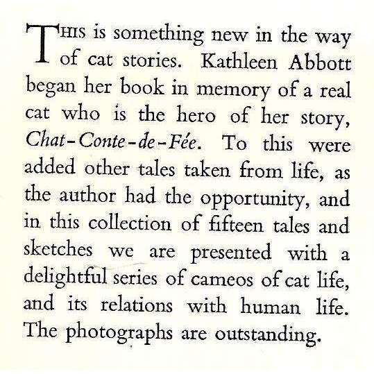 Cat-Enchanted | Kathleen M. Abbott