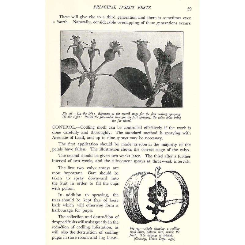 Controlling Plant Pests in Southern Africa (Published 1932)