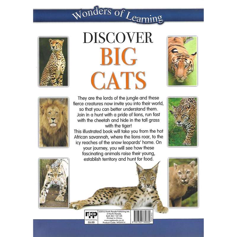 Discover Big Cats | North Parade Publishing