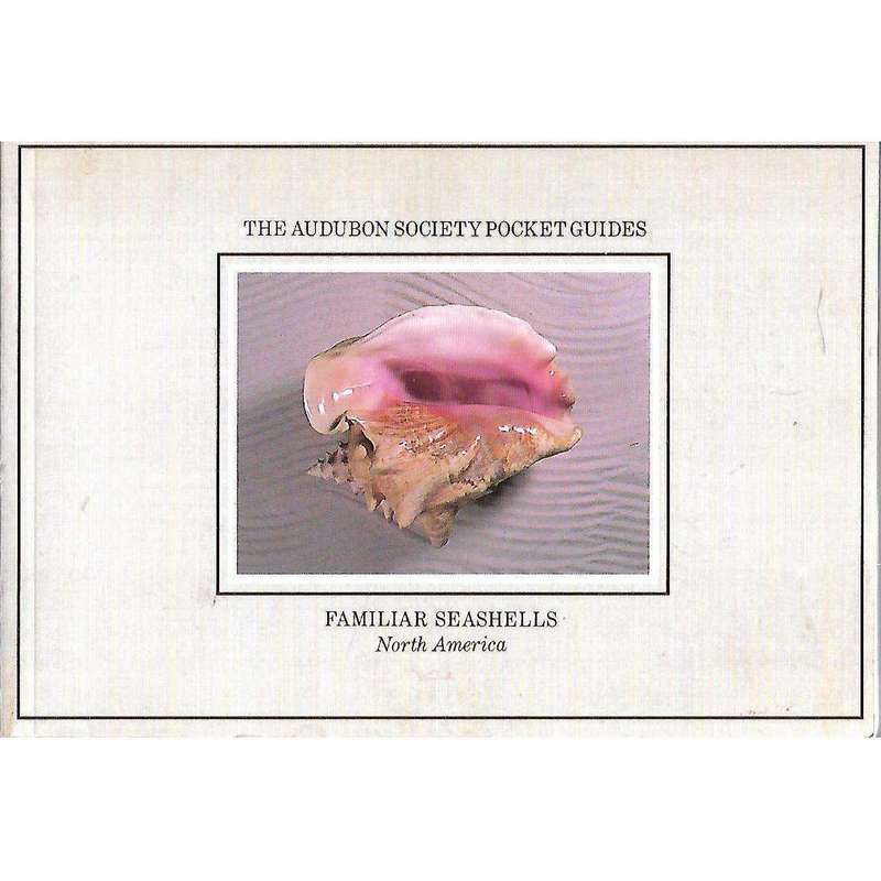 Familiar Seashells: North America