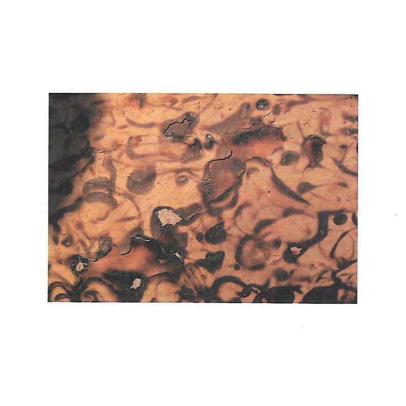 Fire! An Exhibition of Burnt Paintings by Sandile Zulu (Brochure to Accompany Exhibition)