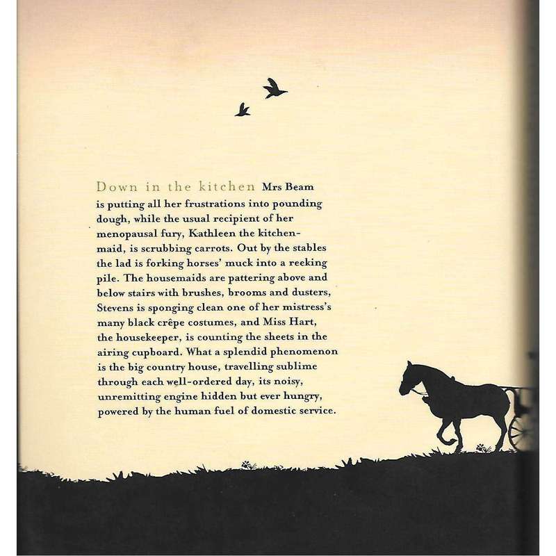 Fixing Shadows | Susan Barrett