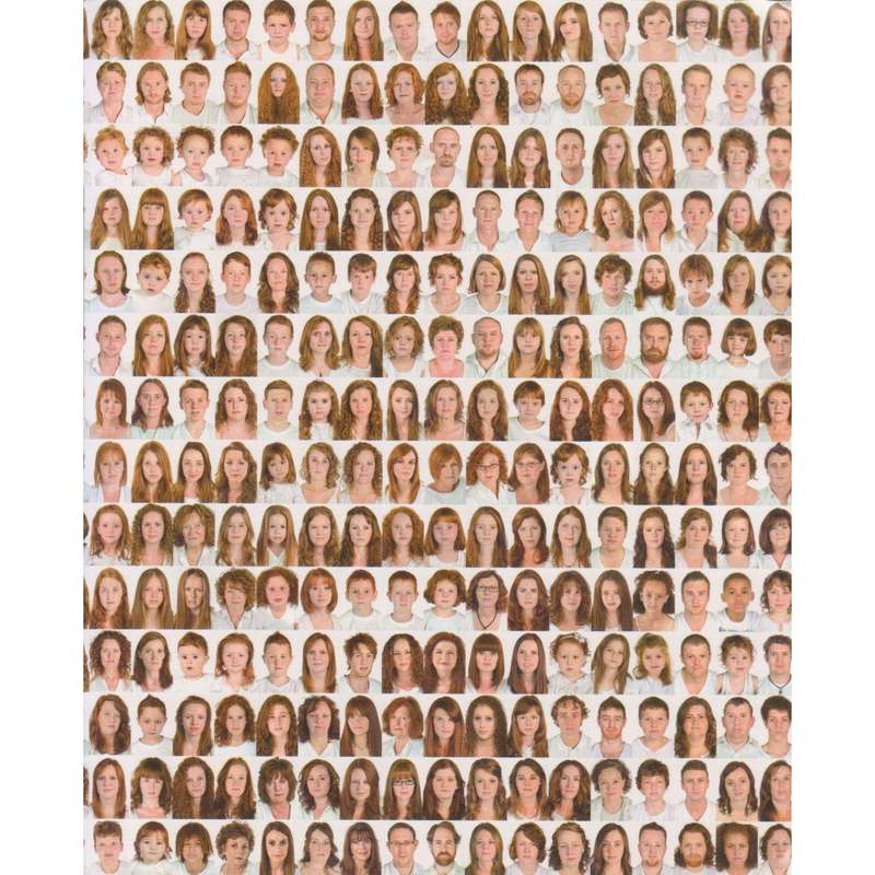 I Collect Gingers: A Solo Exhibition by Anthea Pokroy (Brochure to Accompany Exhibition)