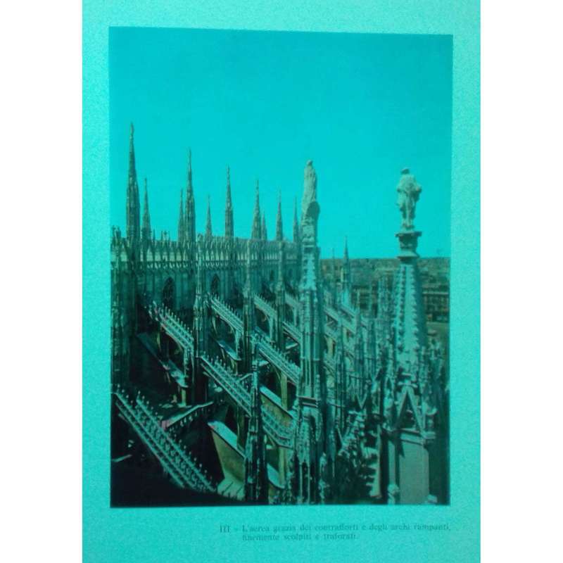 Il Duomo di Milano (Italian) | Giacomo C. Bascape & Paolo Mezzanotte
