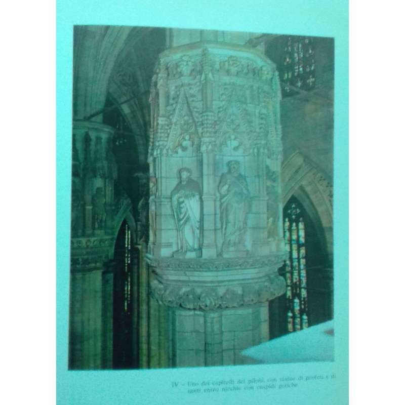 Il Duomo di Milano (Italian) | Giacomo C. Bascape & Paolo Mezzanotte