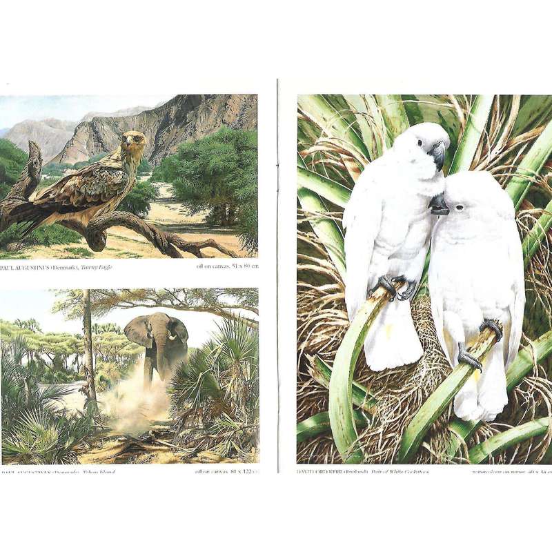 International Exhibition of Wildlife and Natural History (Invitation to the Exhibition)