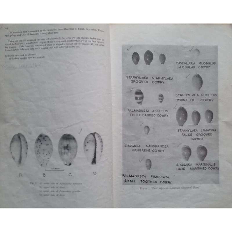 Journal of the East Africa Natural History Society: Special Number on East African Cowries (Vol. ...
