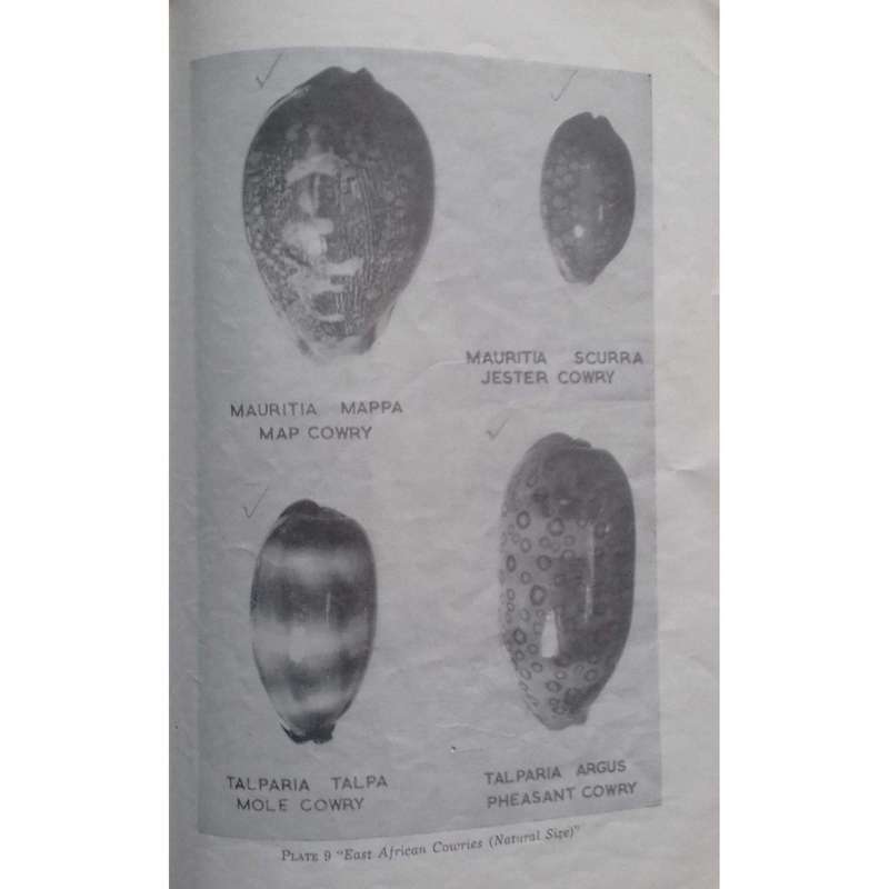 Journal of the East Africa Natural History Society: Special Number on East African Cowries (Vol. ...