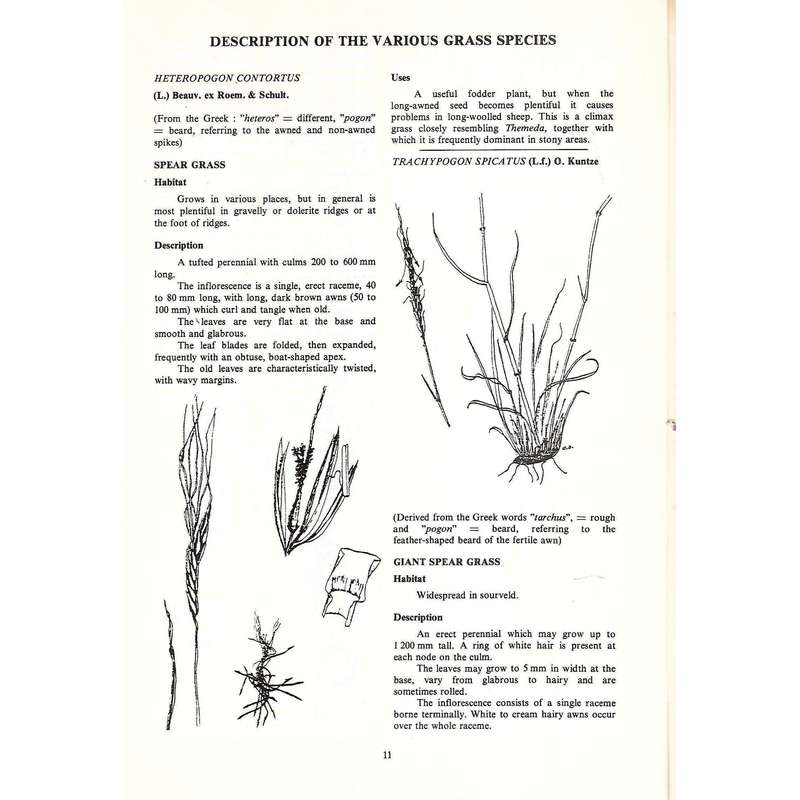 Key to the Most Important Veld Grasses of the Western Transvaal and Northern Free State | C. S. D...